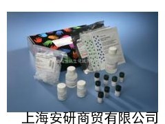 大鼠β-防御素(β-Defensins)免疫组化试剂盒_供应产品_上海安研商贸有限公司